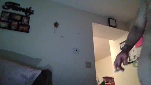 watchxmexcumxx3 01-06-2023 analtoy 