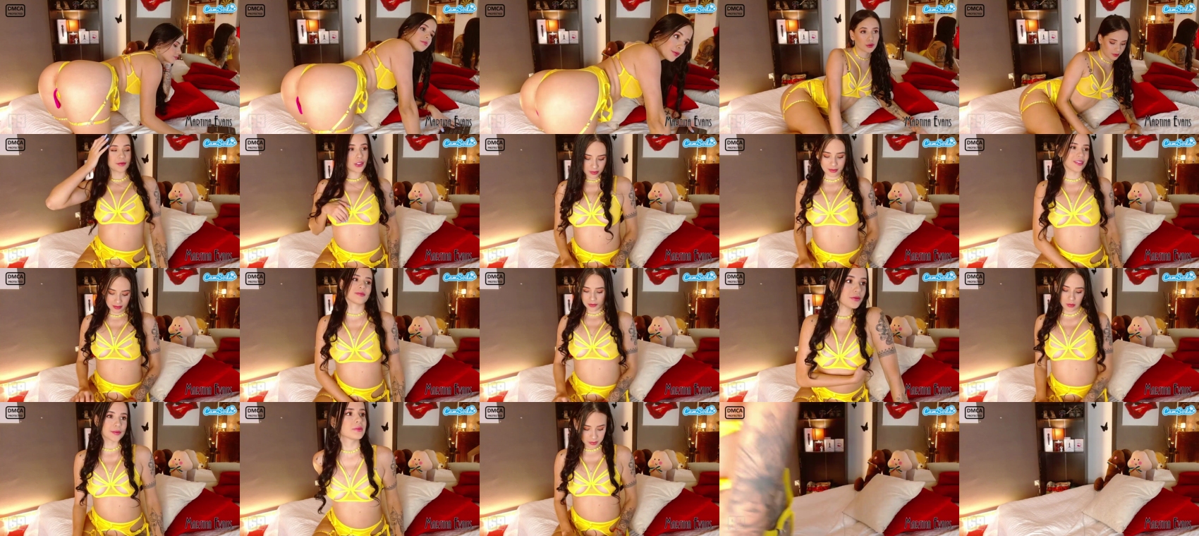 martinaevans 08-06-2023 toys CamSoda
