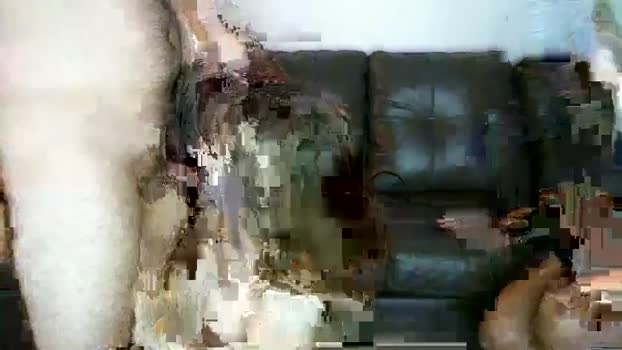 pickleman15253 12-06-2023 pussy 