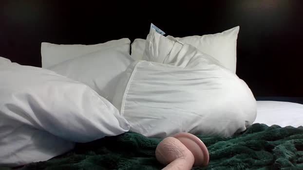 toohorny4college 15-06-2023 bigcock 