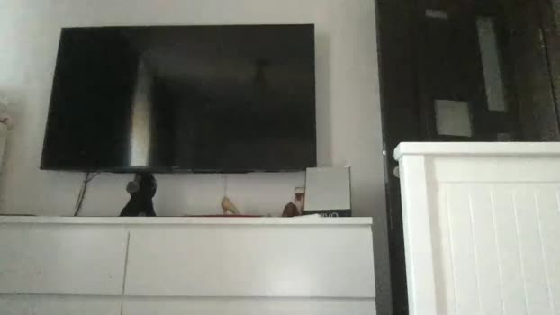 jessiexryan 26-06-2023 bj-dildo 