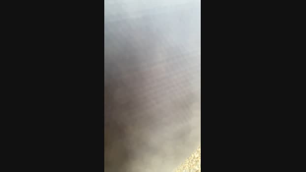 VaianaD115 10-07-2023 sex 