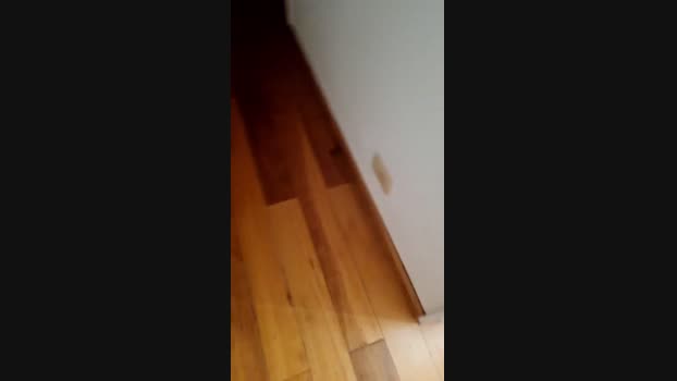 parejasexsexy 09-07-2023 fuckme 