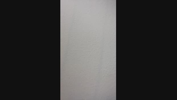algodondeazucar 11-07-2023 Webcam 