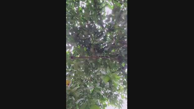 giselxxx_hot 12-07-2023 horny 