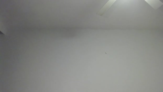 melaniebiche 13-07-2023 lovense 