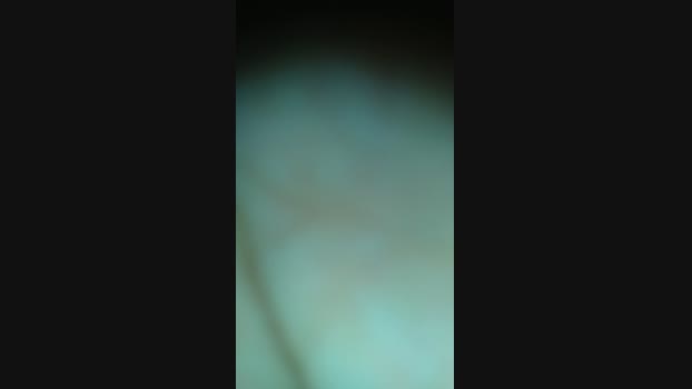 Ray_82 13-07-2023 deep 