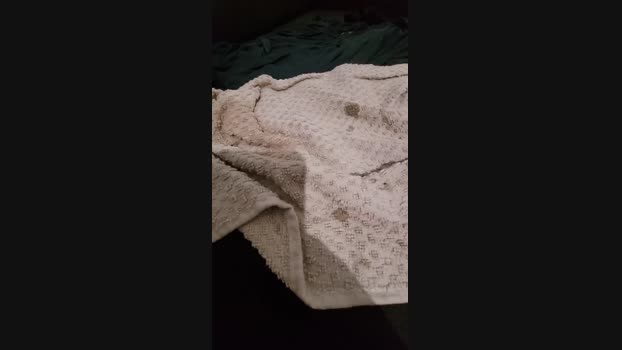 Coppiasesso69 14-07-2023 naughty 