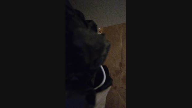 Trinitybabyy 17-07-2023 horny 
