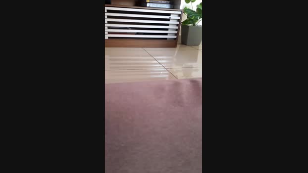 Novinhaa25