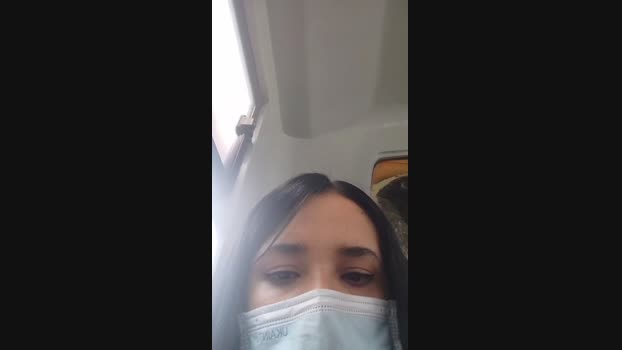 Melisophia1