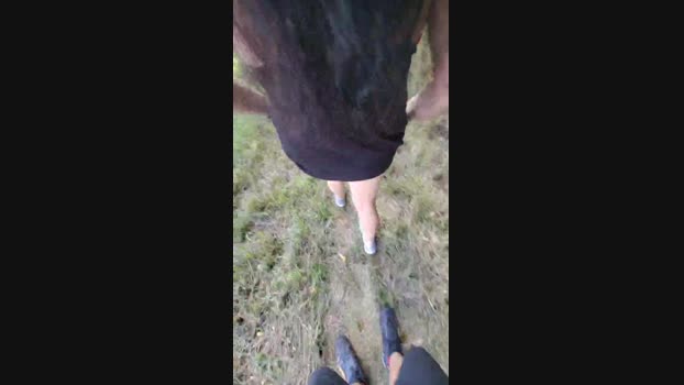 habenlust 29-07-2023 Recorded 