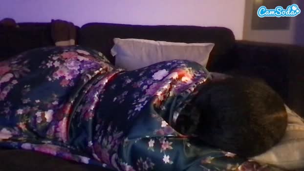 misszylahd 03-08-2023 Cam CamSoda