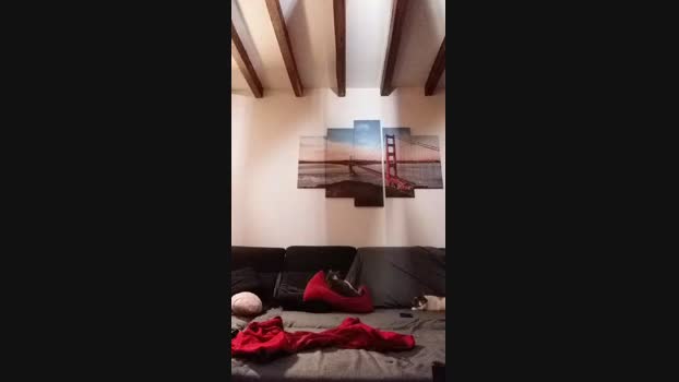 sexy2553 14-08-2023 spank 