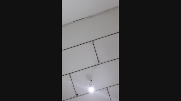 paollala 15-08-2023 Ass 