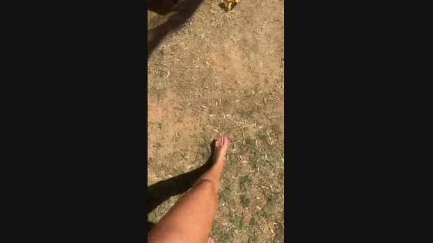 Shabbywhite 19-08-2023 Cam 