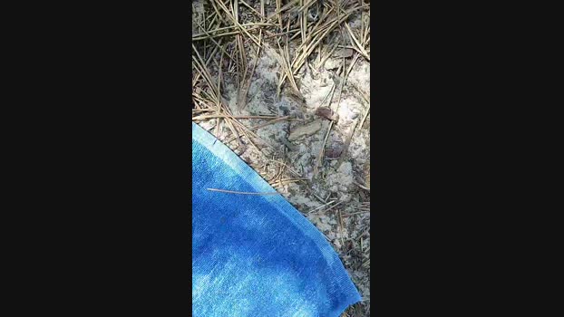 nous337 19-08-2023 Wet 