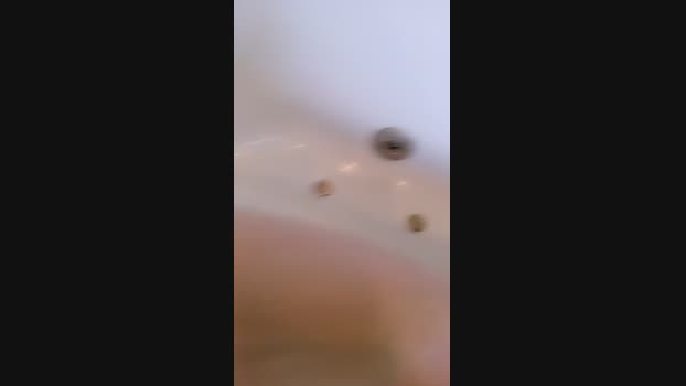serenamoon1 19-08-2023 ass 