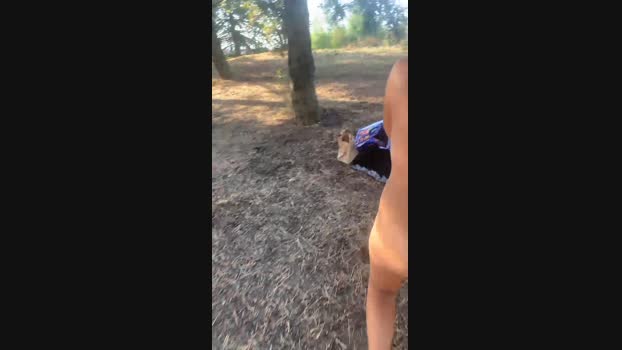 Fuckhard4you 19-08-2023 yummy 