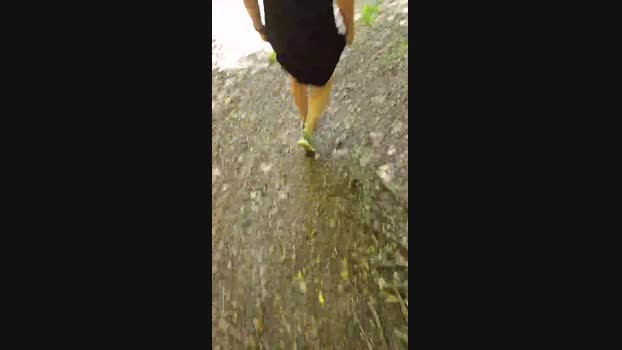 habenlust 22-08-2023 amateur 