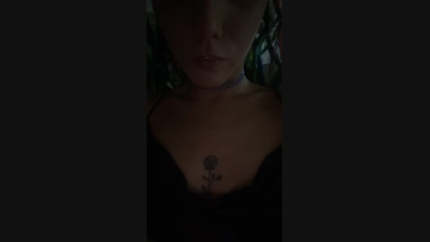 Mirtilla_