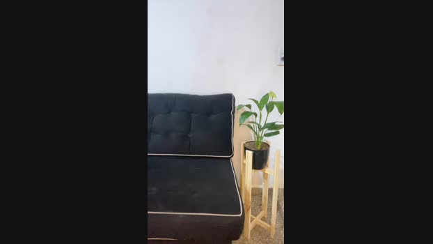 Pamsexx1 22-08-2023 pussy 