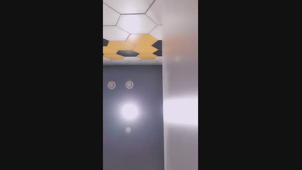 eveangelll 24-08-2023 ass 