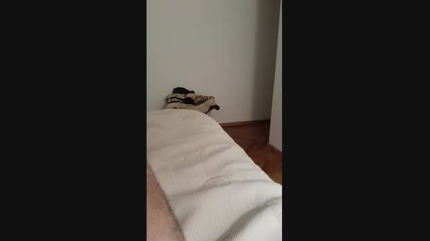 Kalype 24-08-2023 Ass 