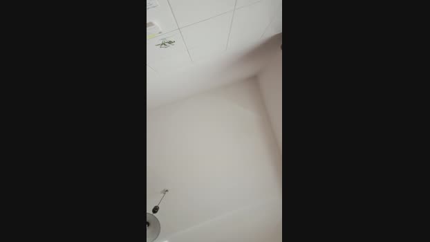 Kittenpurrr 25-08-2023 Recorded 