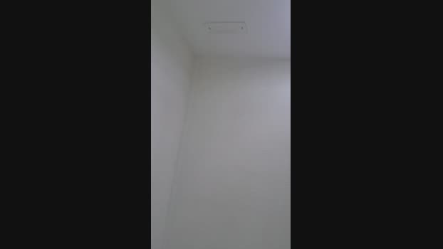 Loiiradelicia 25-08-2023 suckcock 