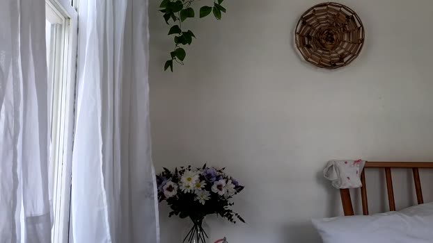 littlegreekflower 28-08-2023 amateur 