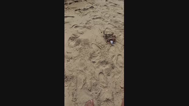 Myqueenfeet1900 31-08-2023 cute 