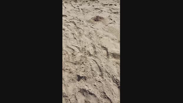 Myqueenfeet1900 31-08-2023 orgasm 