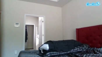 jaydadior 01-09-2023 Porn CamSoda