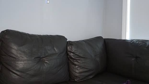 sashaxsin 06-09-2023 legs 
