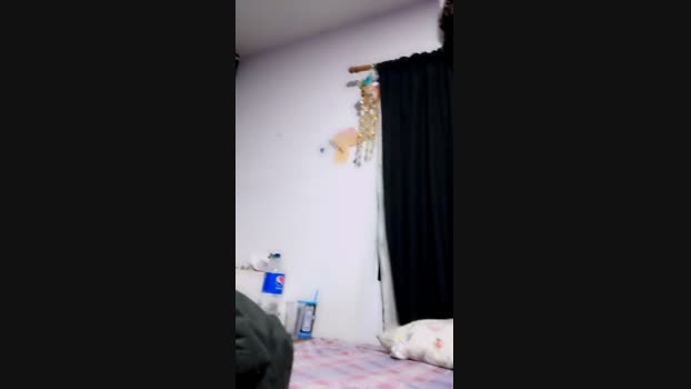 Rabitbunny 07-09-2023 lickpussy 