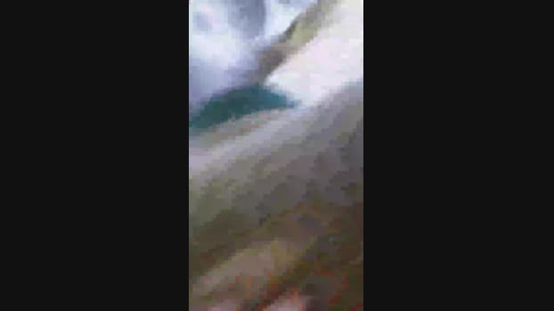 Sutrerio 08-09-2023 wet 