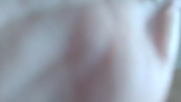 alolocolosdos 19-09-2023 bigcock 