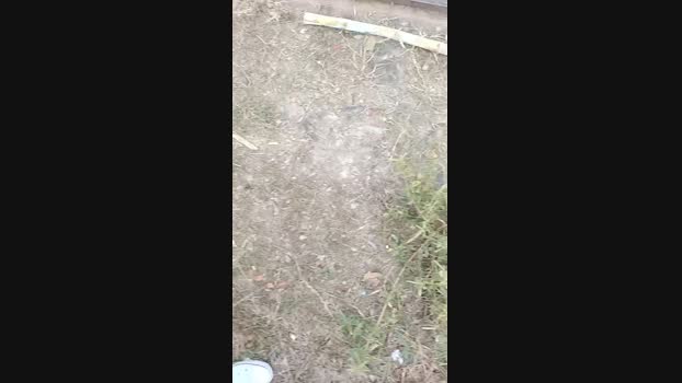 Tania__honey 25-09-2023 spank 