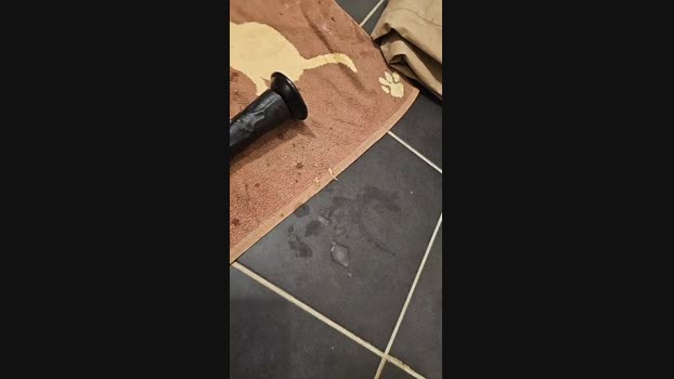 lucie_mehott 11-10-2023 lush 
