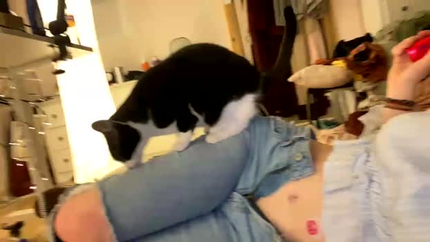 emersoncane 17-10-2023 pussy 