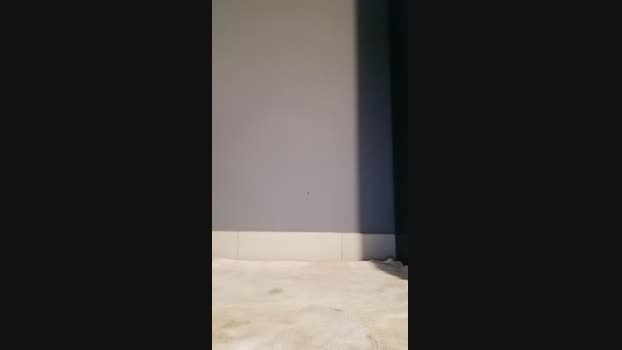kevin87sexy 19-10-2023 Video 