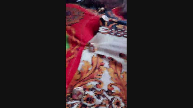 eveangelll 24-10-2023 sucktits 