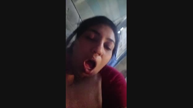 Digobela1