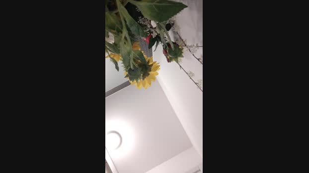 IlLupoelaLuna 29-10-2023 fuck 