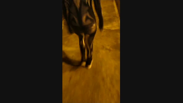 bigwhitebuttxxx 31-10-2023 ass 