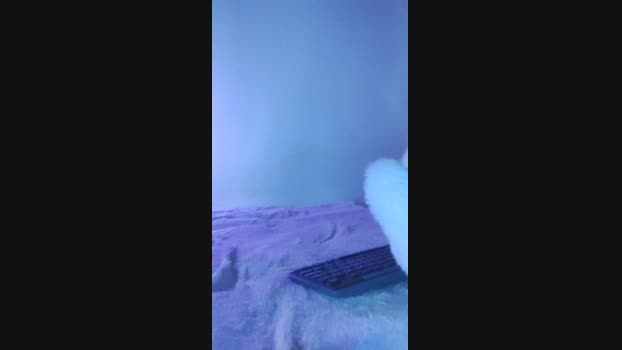 Daio_lop 01-11-2023 fuckass 
