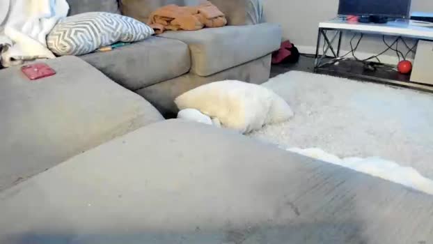 mommyanddaddy24 01-11-2023 sex 