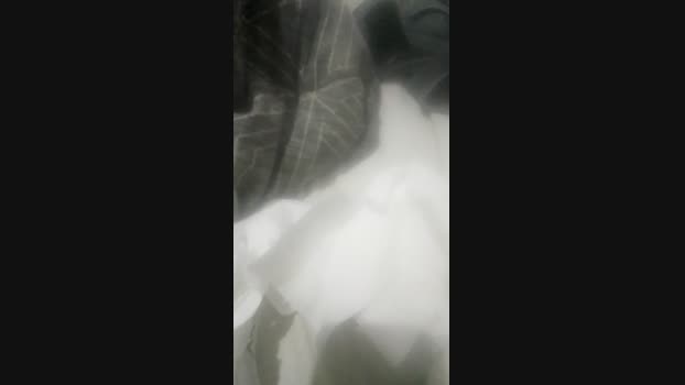 Raf1ela 04-11-2023 naughty 