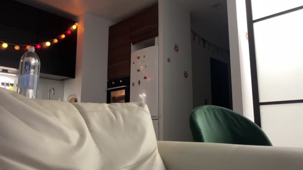 di_n_alex 03-11-2023 analtoy 